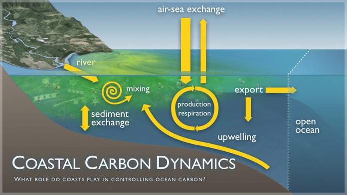 coastalcarbondynamics_med