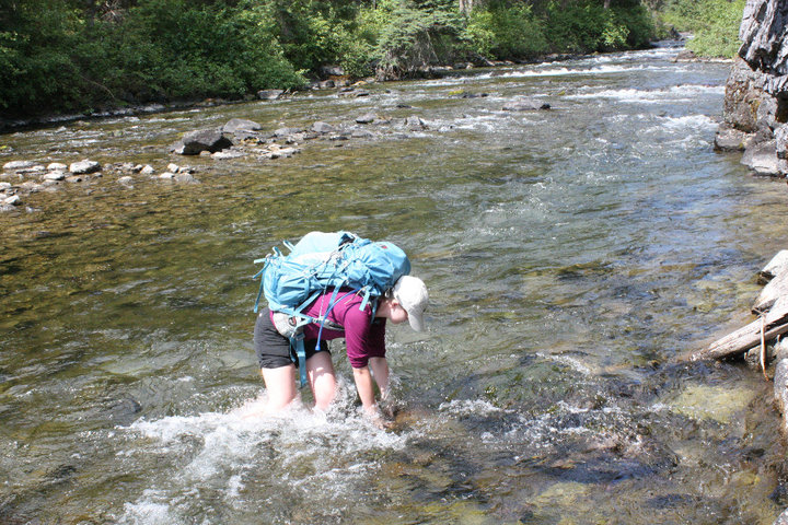 Davis river rapid