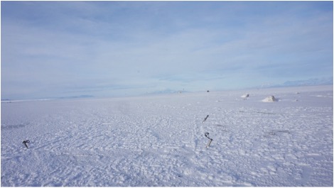image22