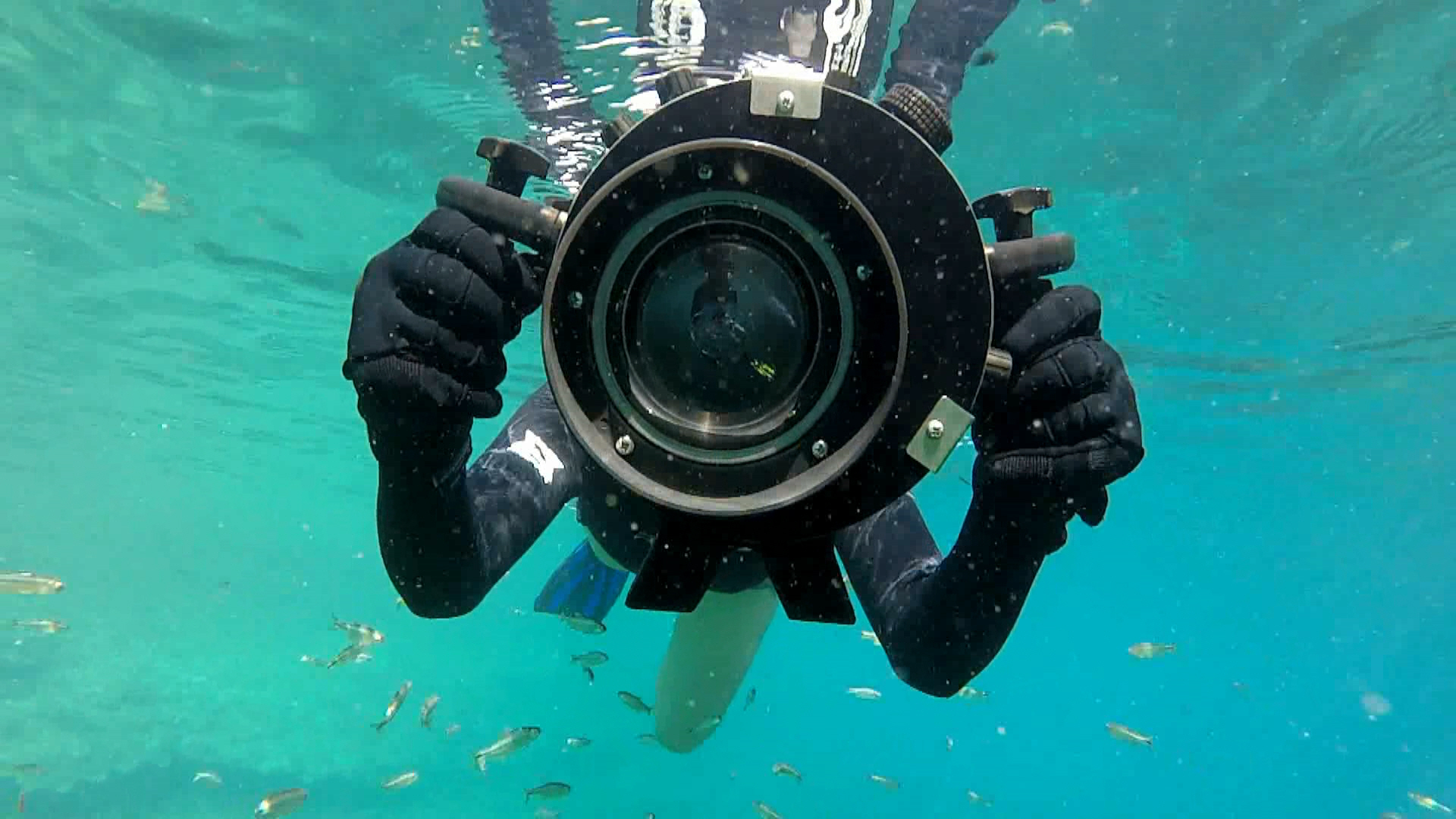 Filming underwater